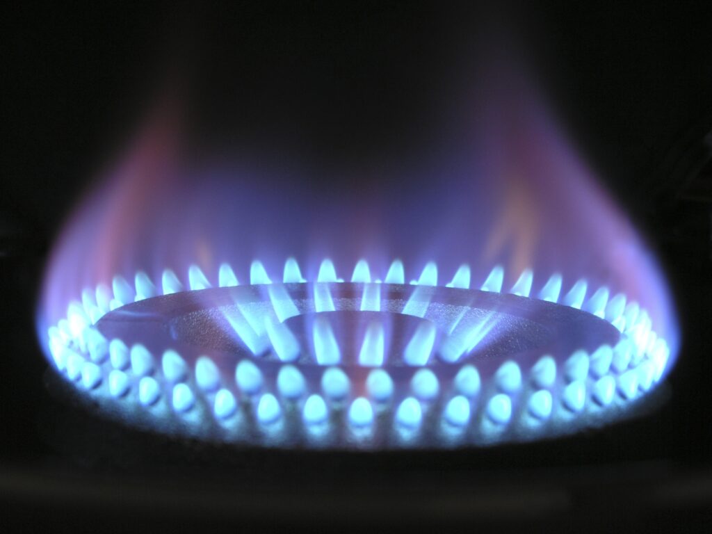 WE DO NOT OPPOSE THE PURCHASE OF RUSSIAN GAS
